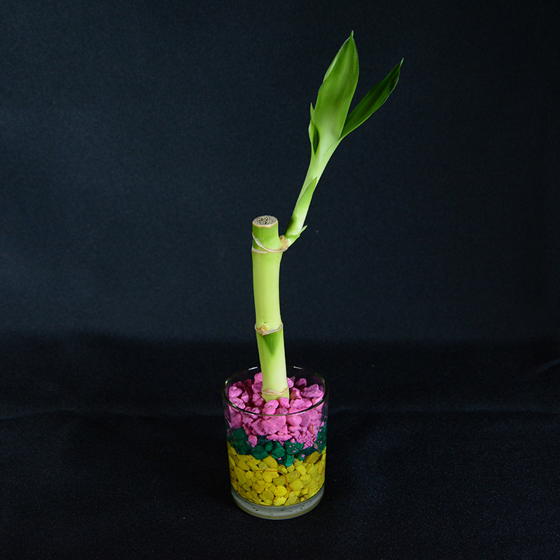 do it yourself bamboo