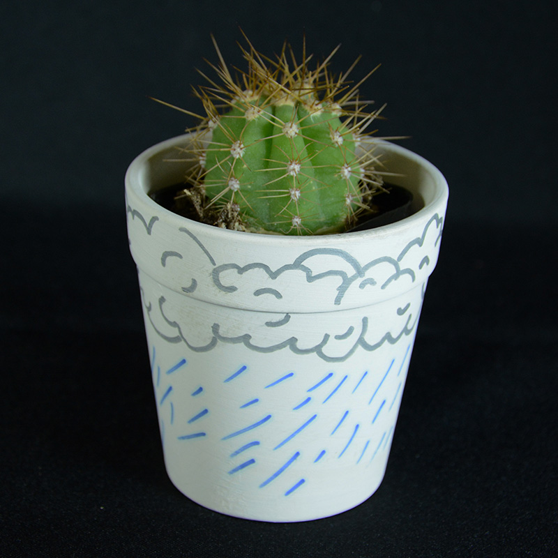 decorate your own cactus