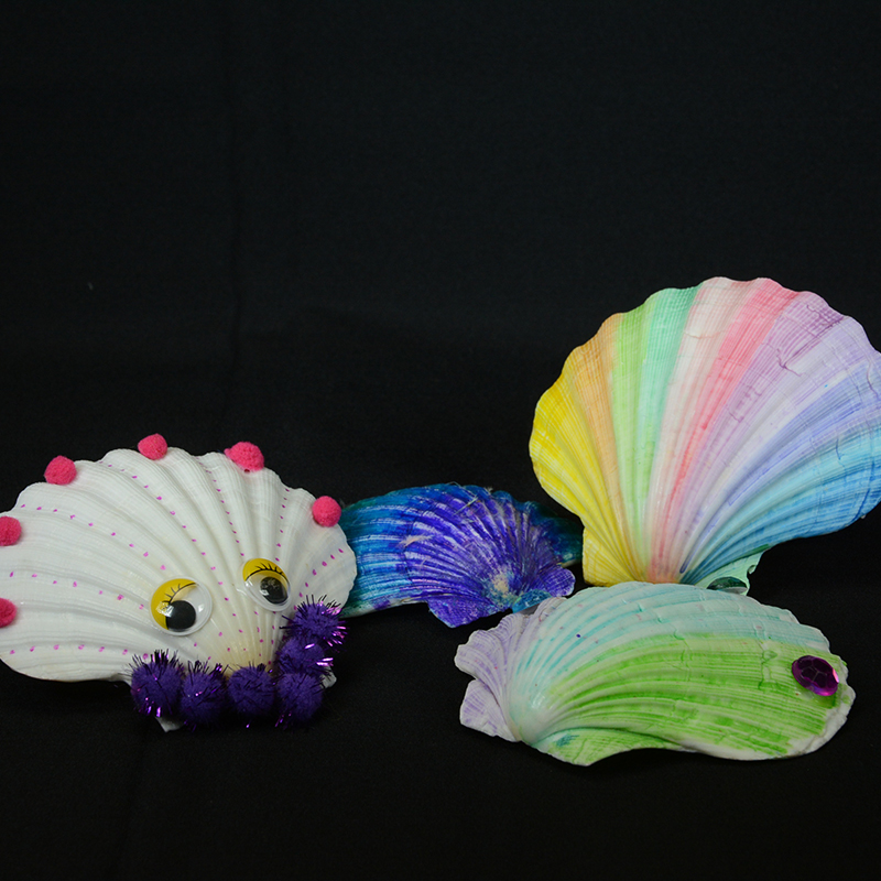 shell decorating